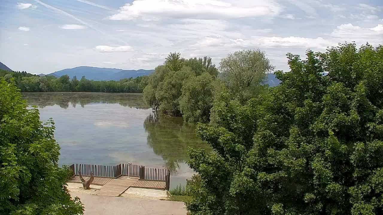 Webcam Ribnik Vrbje – Žalec