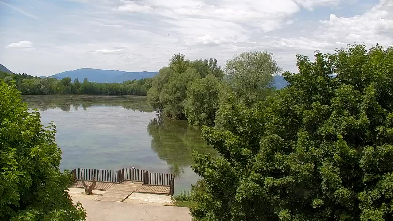 Webcam Ribnik Vrbje – Žalec