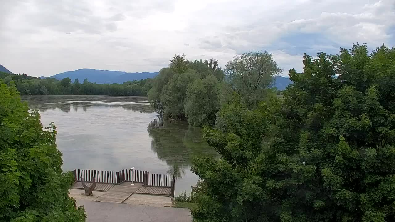 Webcam Ribnik Vrbje – Žalec