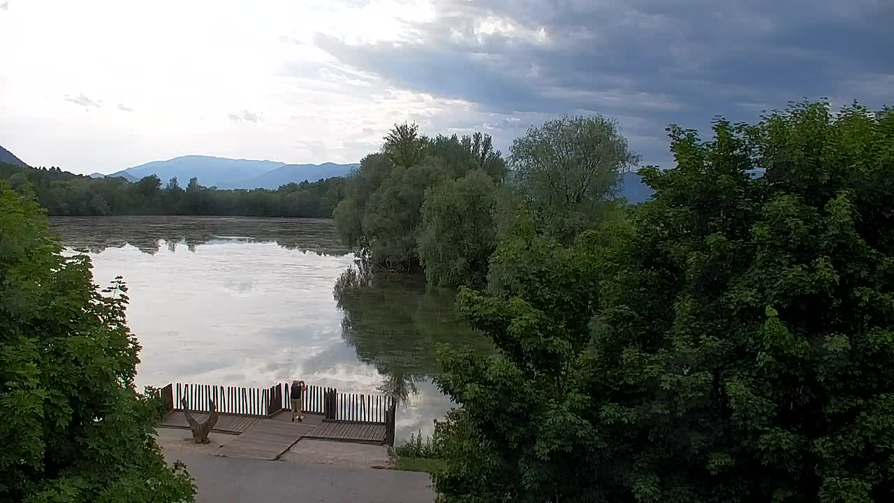 Webcam Ribnik Vrbje – Žalec