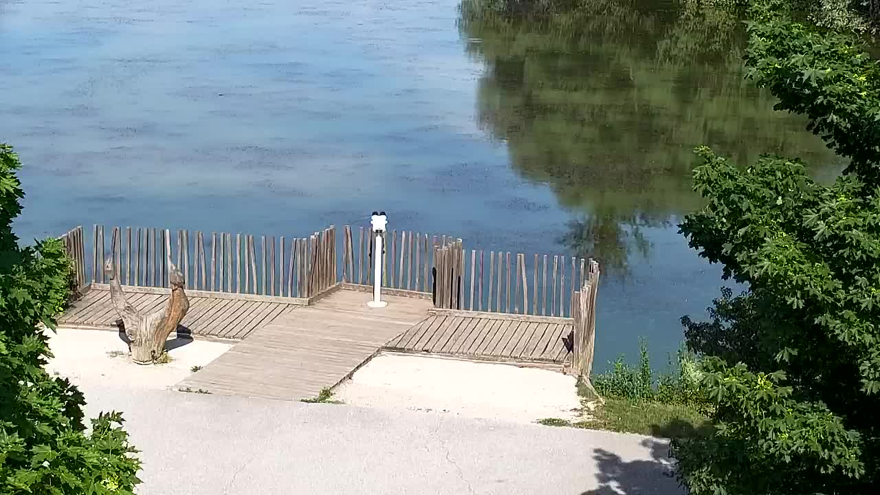 Webcam Ribnik Vrbje – Žalec