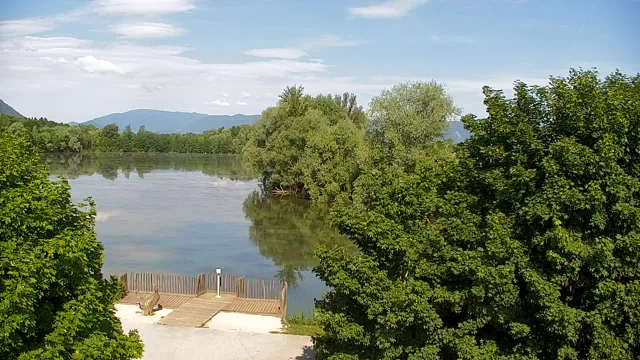 Webcam Ribnik Vrbje – Žalec