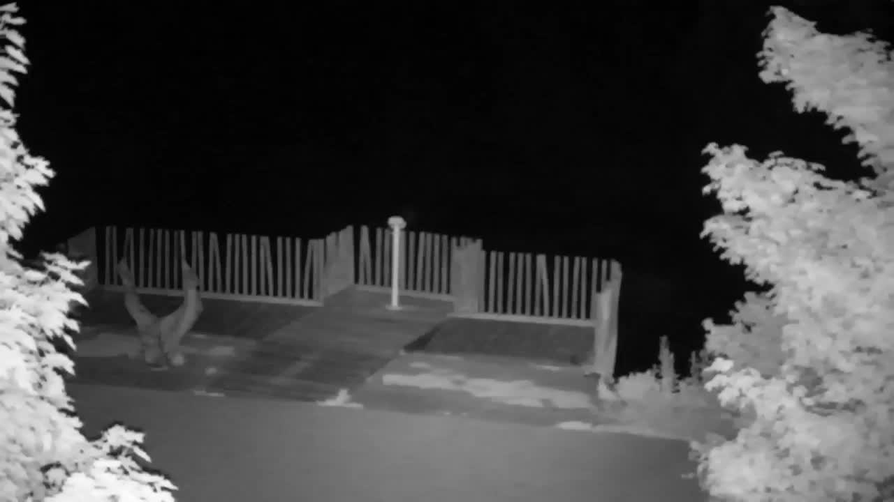 Webcam Ribnik Vrbje – Žalec