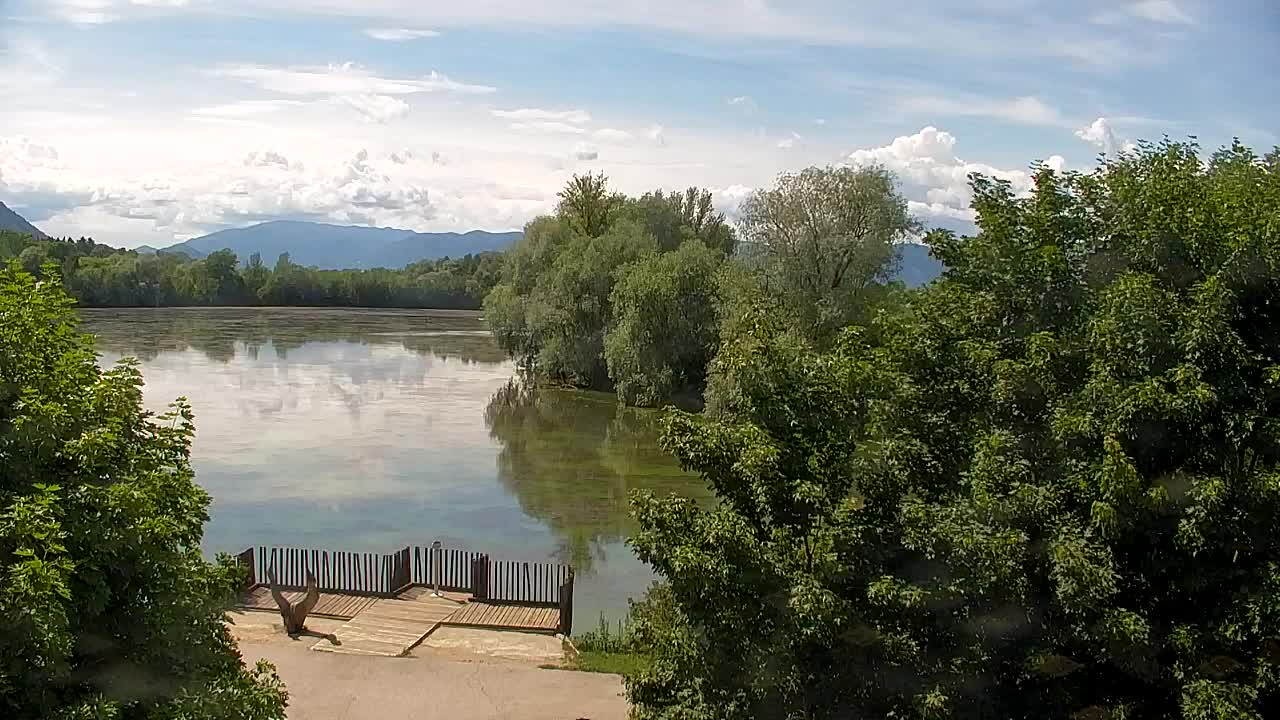 Webcam Ribnik Vrbje – Žalec