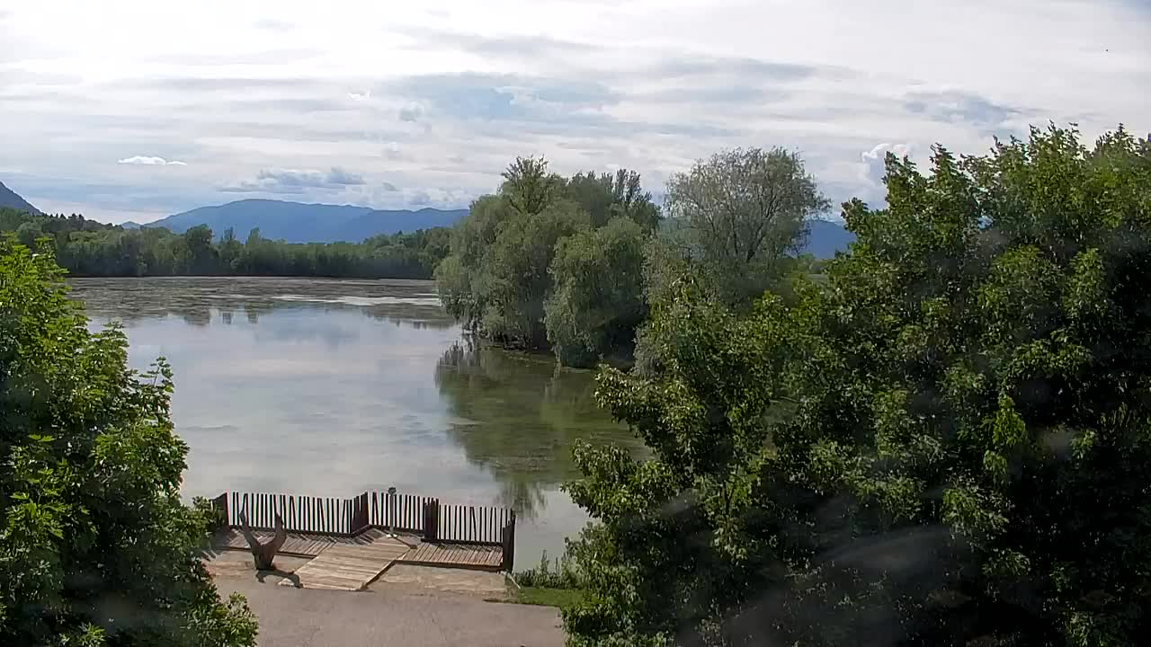 Spletna kamera Ribnik Vrbje – Žalec