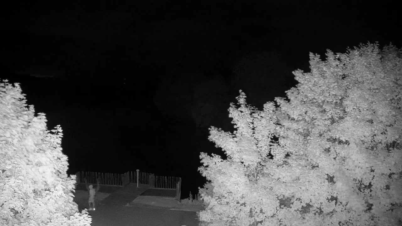 Webcam Ribnik Vrbje – Žalec