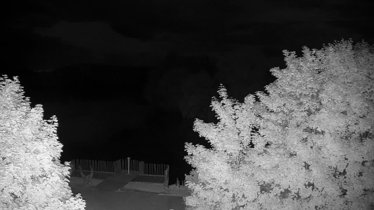Webcam Ribnik Vrbje – Žalec
