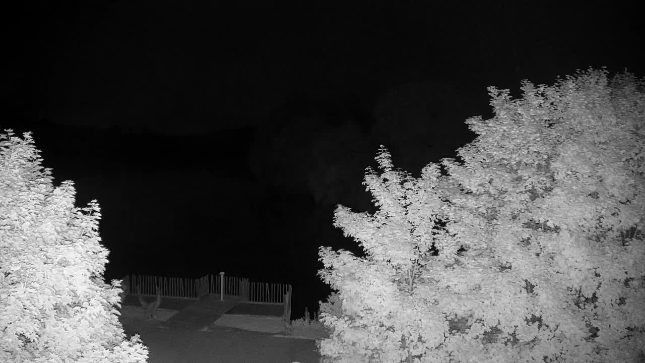 Webcam Ribnik Vrbje – Žalec