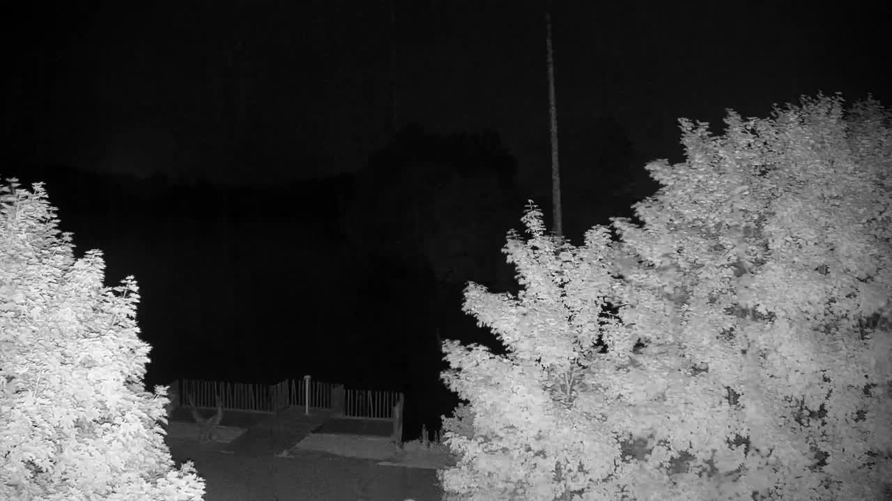 Spletna kamera Ribnik Vrbje – Žalec