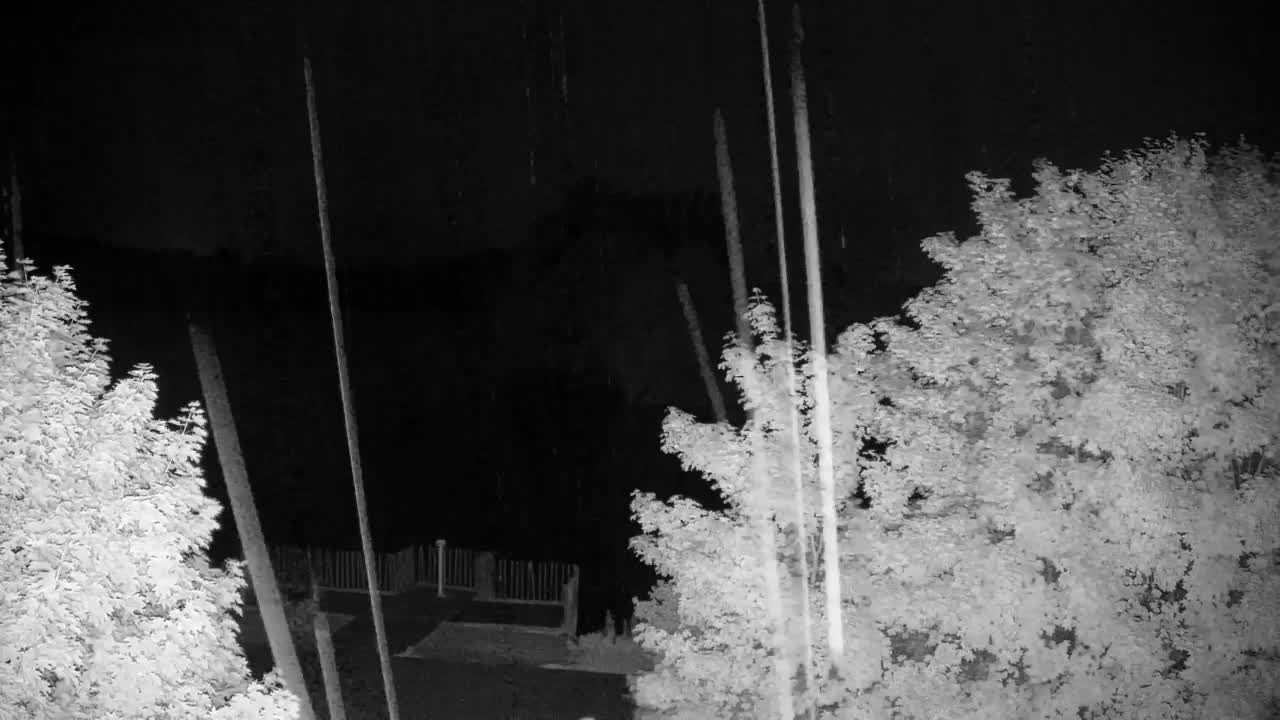 Webcam Ribnik Vrbje – Žalec