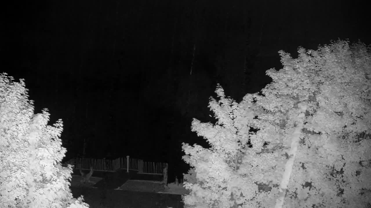 Webcam Ribnik Vrbje – Žalec