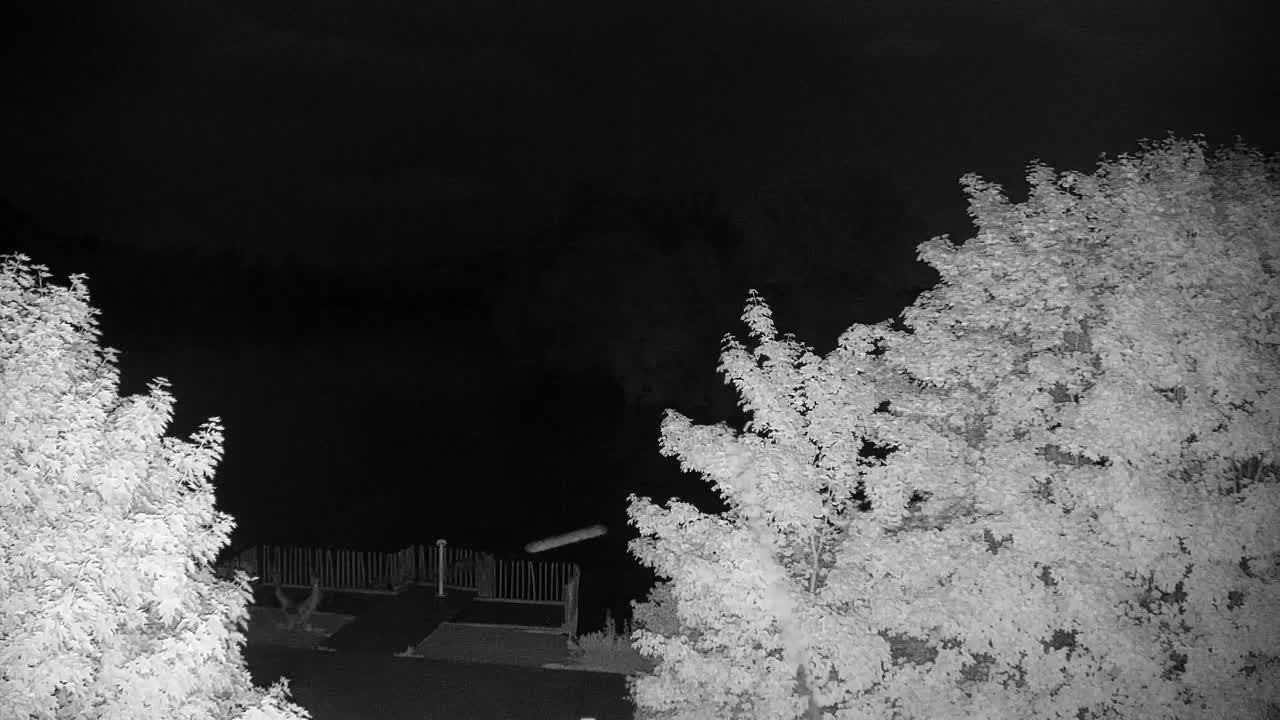 Webcam Ribnik Vrbje – Žalec