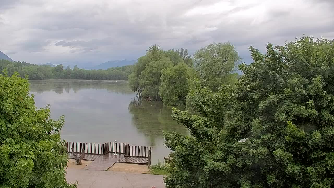 Webcam Ribnik Vrbje – Žalec