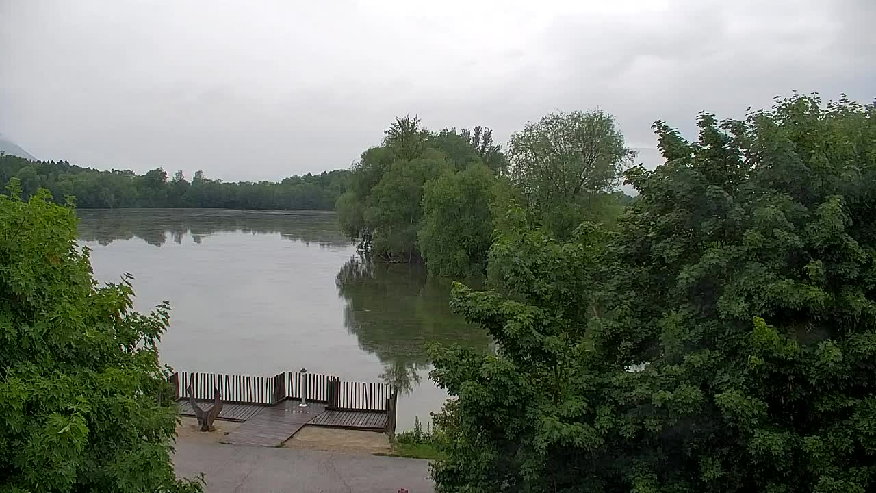 Webcam Ribnik Vrbje – Žalec