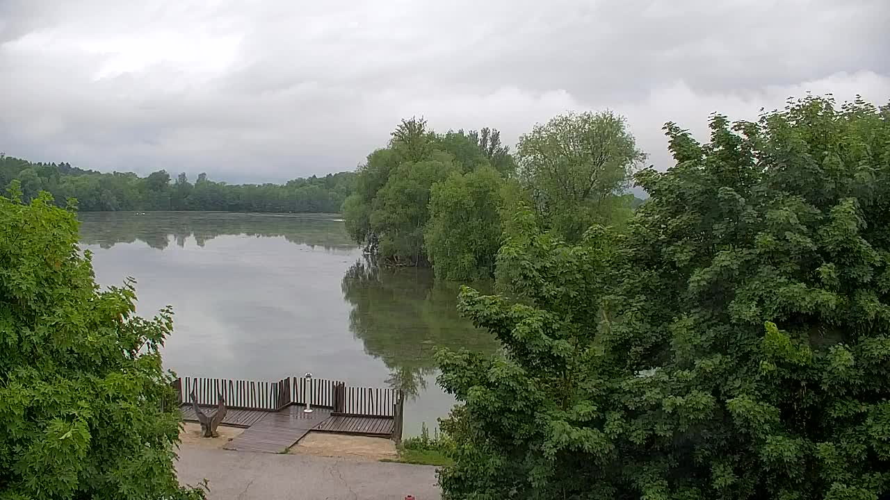 Webcam Ribnik Vrbje – Žalec