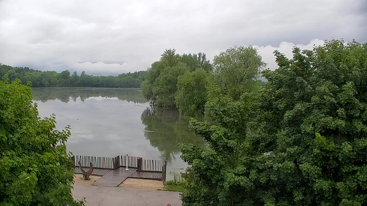 Webcam Ribnik Vrbje – Žalec