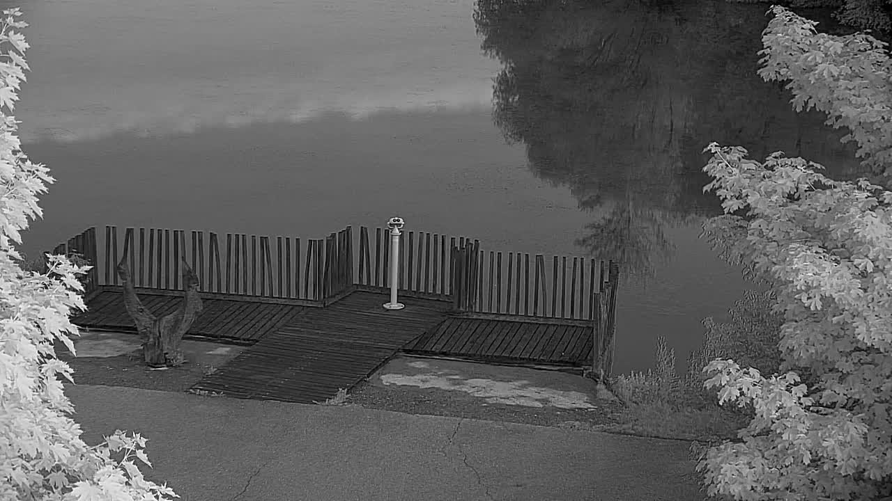 Webcam Ribnik Vrbje – Žalec