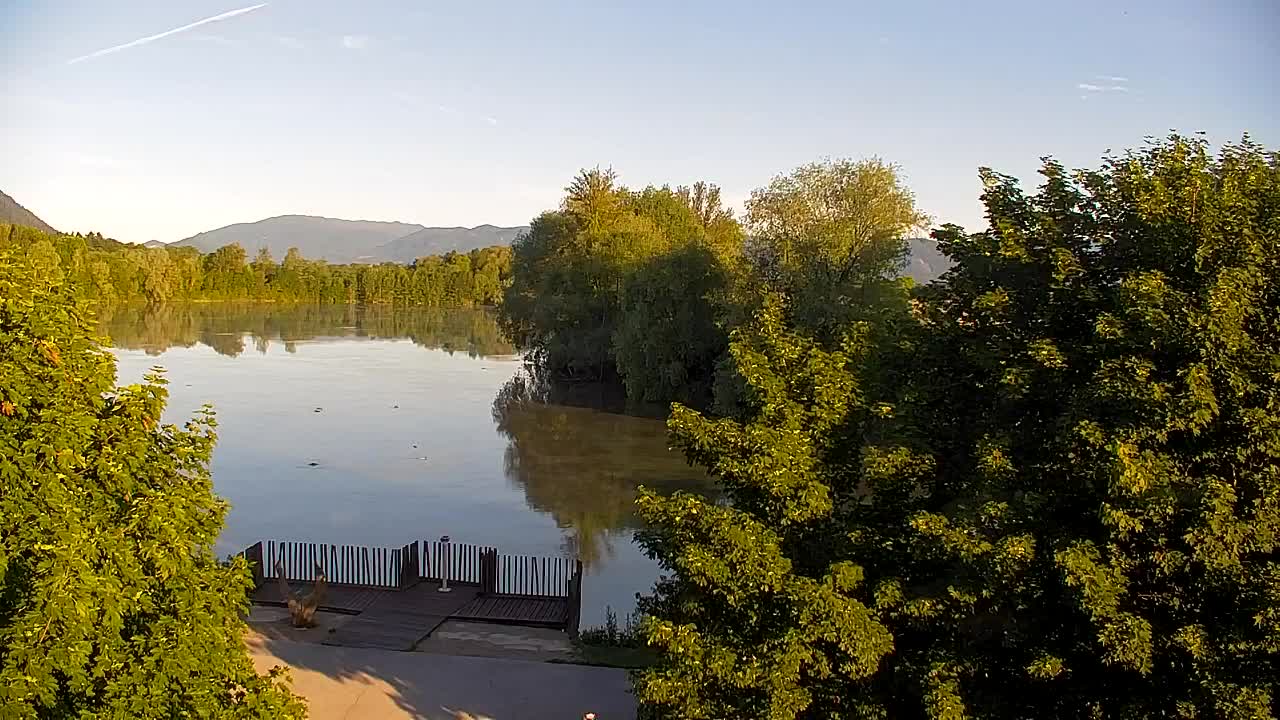 Webcam Ribnik Vrbje – Žalec
