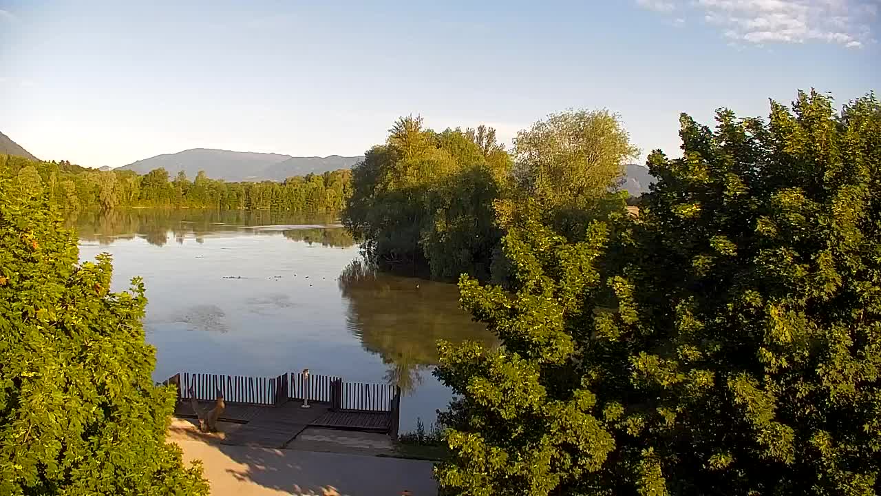 Webcam Ribnik Vrbje – Žalec