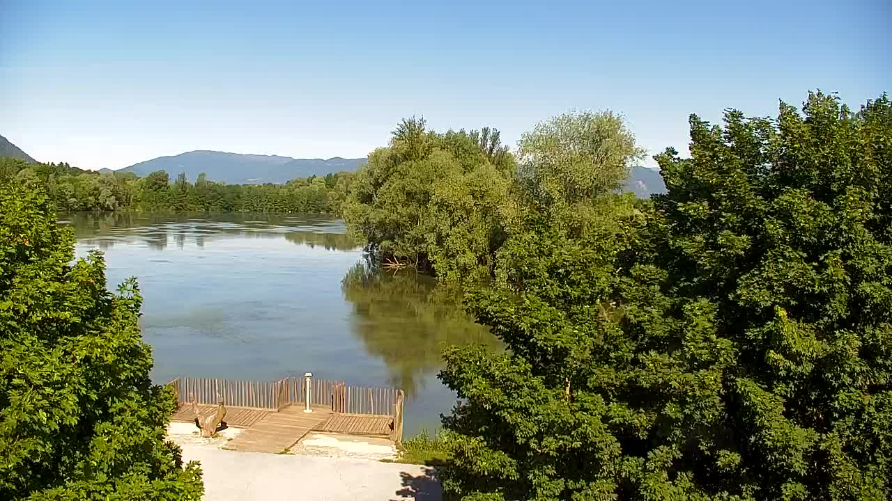 Webcam Ribnik Vrbje – Žalec