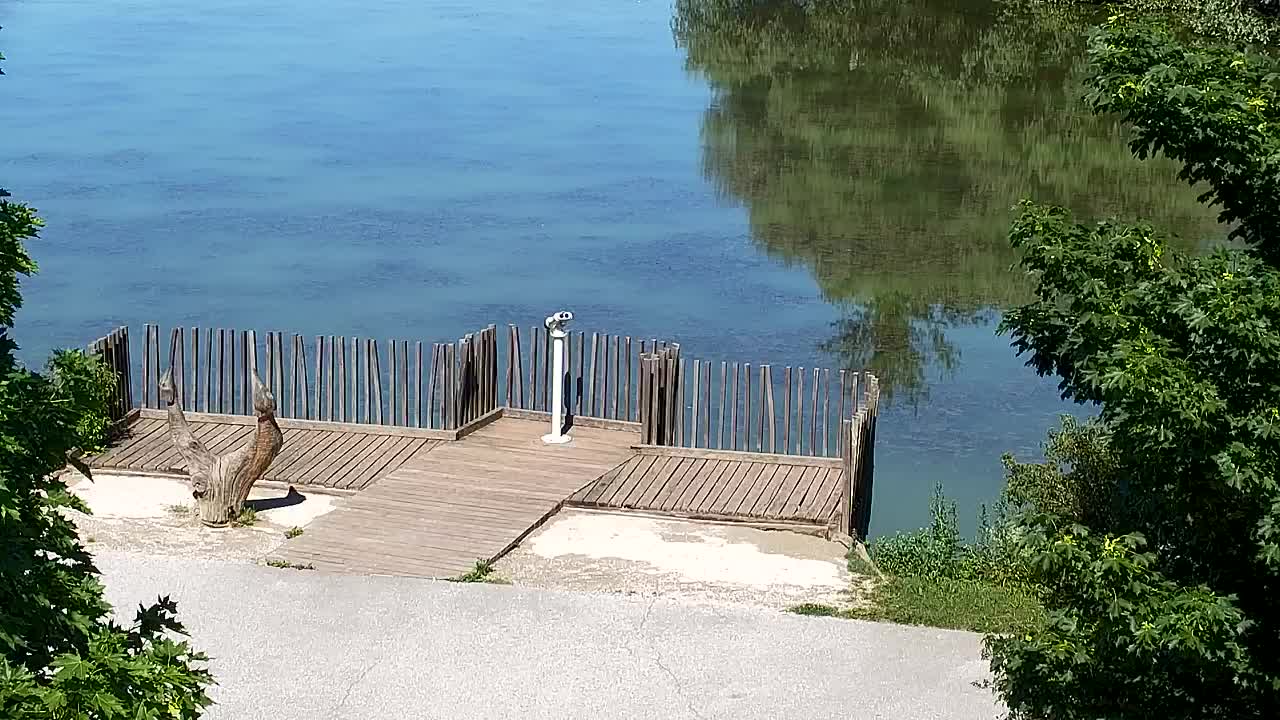 Webcam Ribnik Vrbje – Žalec