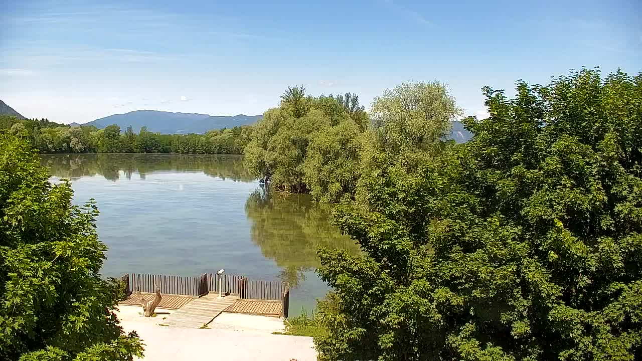 Webcam Ribnik Vrbje – Žalec