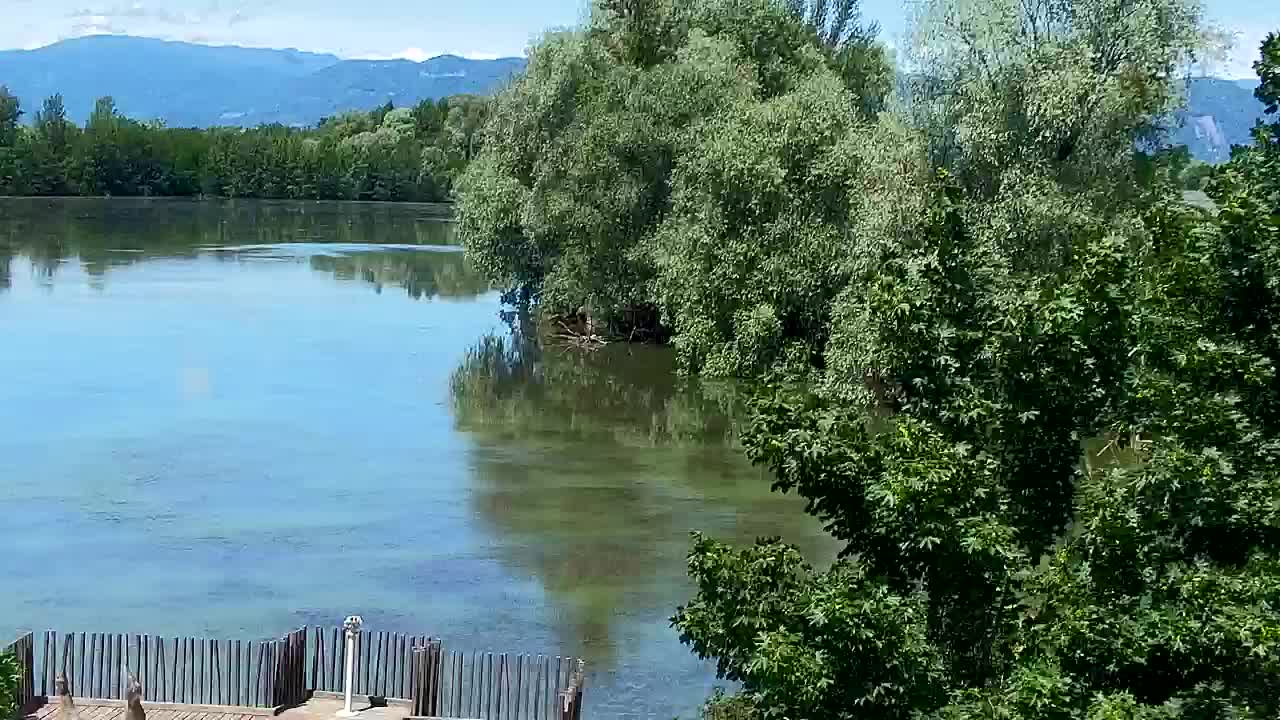 Webcam Ribnik Vrbje – Žalec