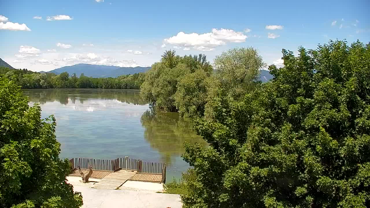 Webcam Ribnik Vrbje – Žalec