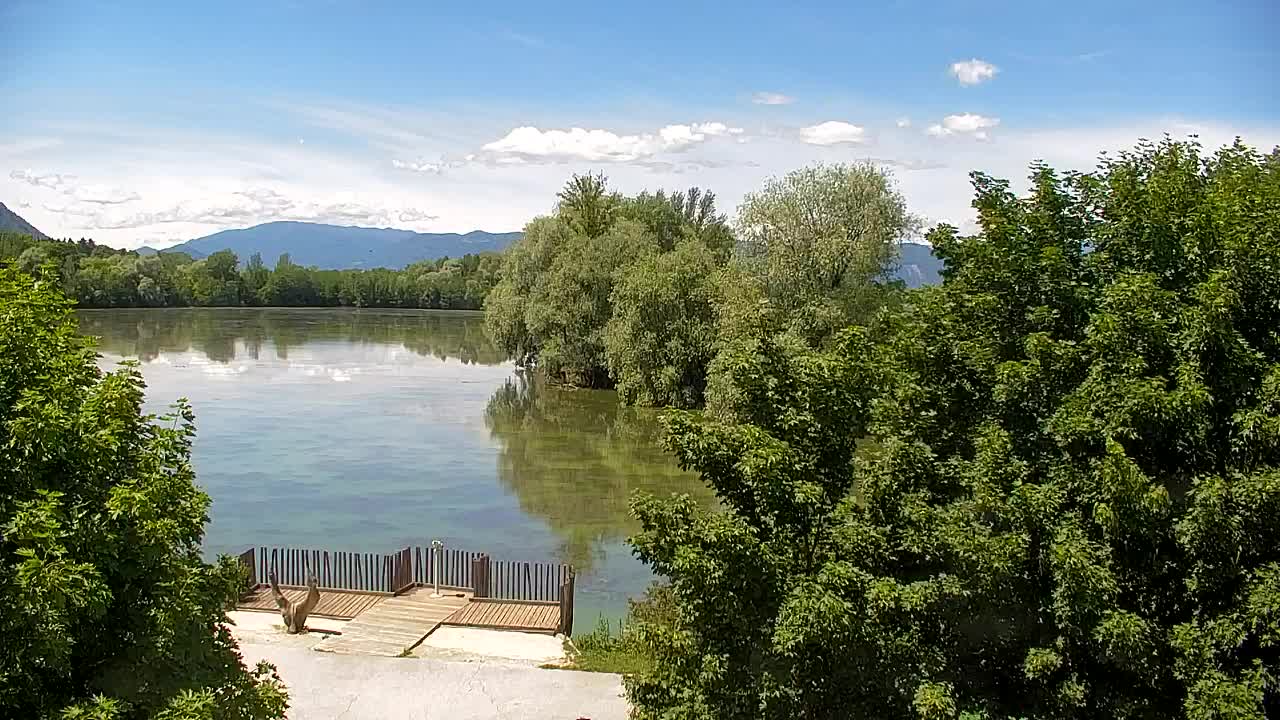 Webcam Ribnik Vrbje – Žalec