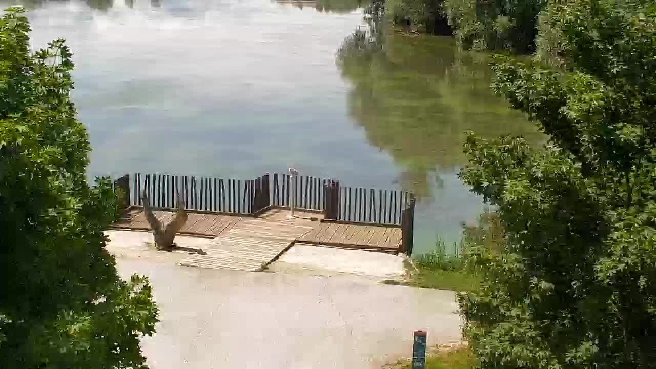 Spletna kamera Ribnik Vrbje – Žalec