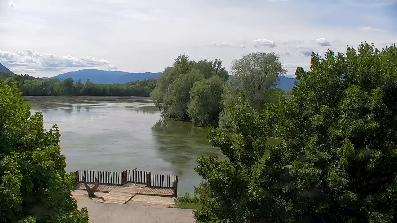 Webcam Ribnik Vrbje – Žalec