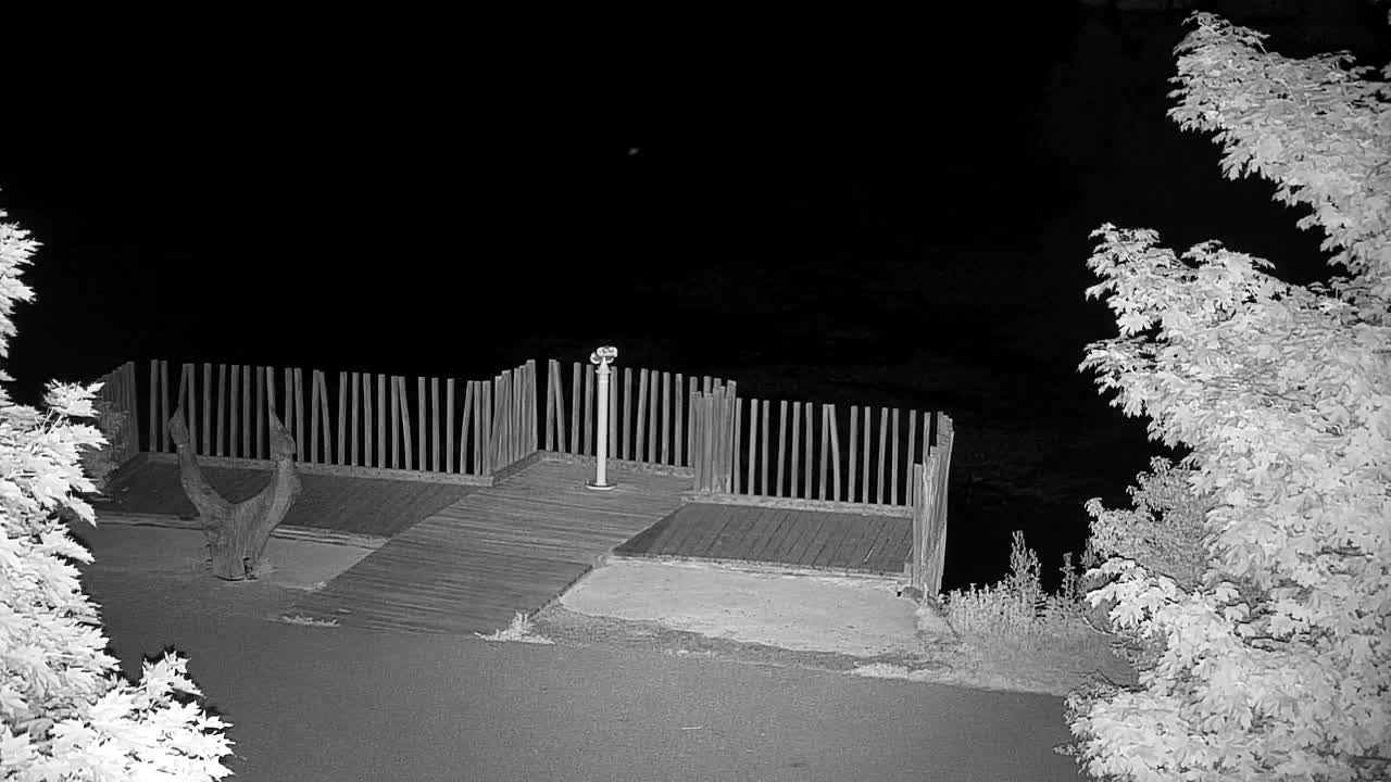 Webcam Ribnik Vrbje – Žalec
