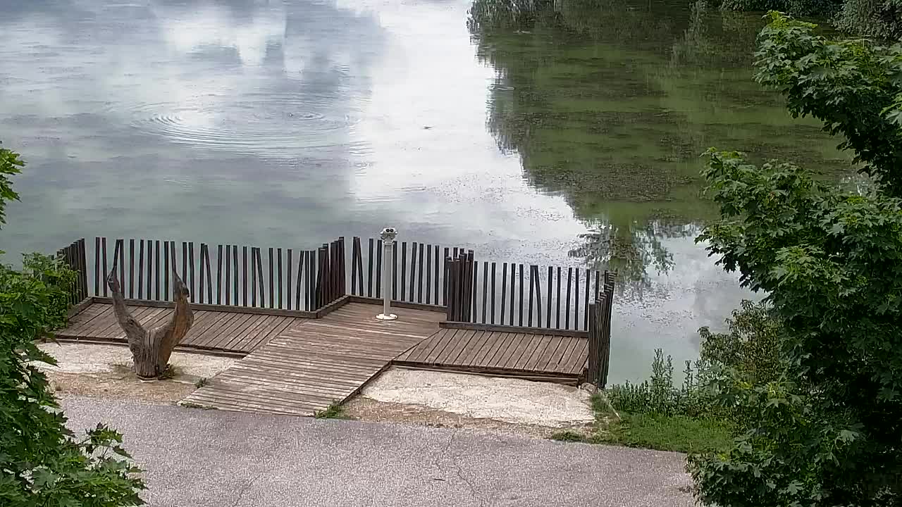 Webcam Ribnik Vrbje – Žalec