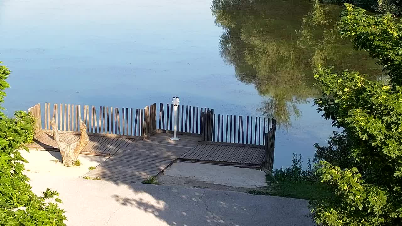 Webcam Ribnik Vrbje – Žalec