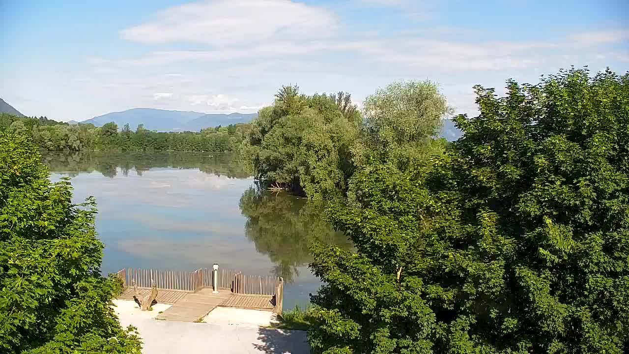 Webcam Ribnik Vrbje – Žalec