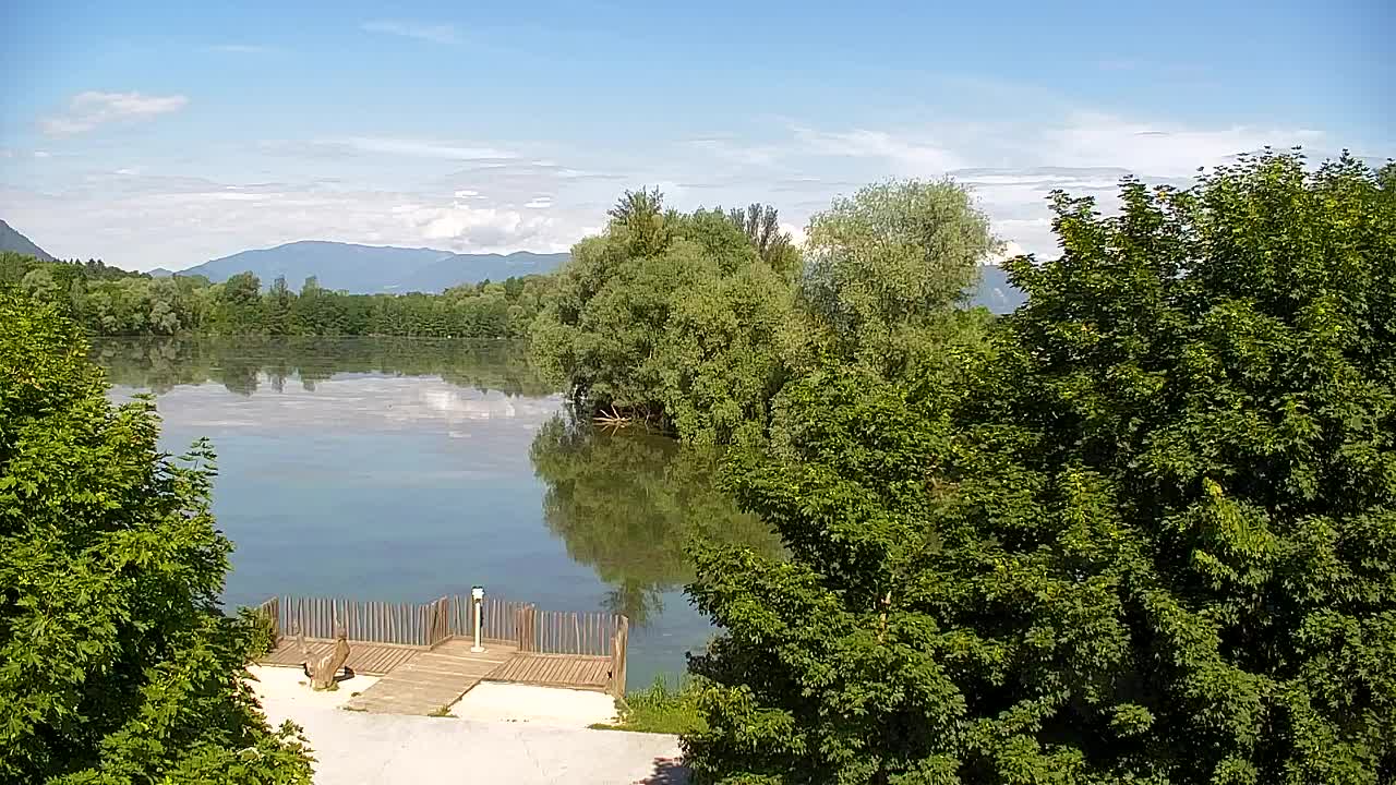 Webcam Ribnik Vrbje – Žalec