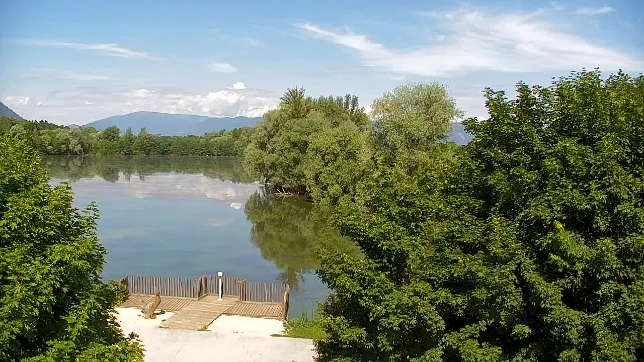 Webcam Ribnik Vrbje – Žalec