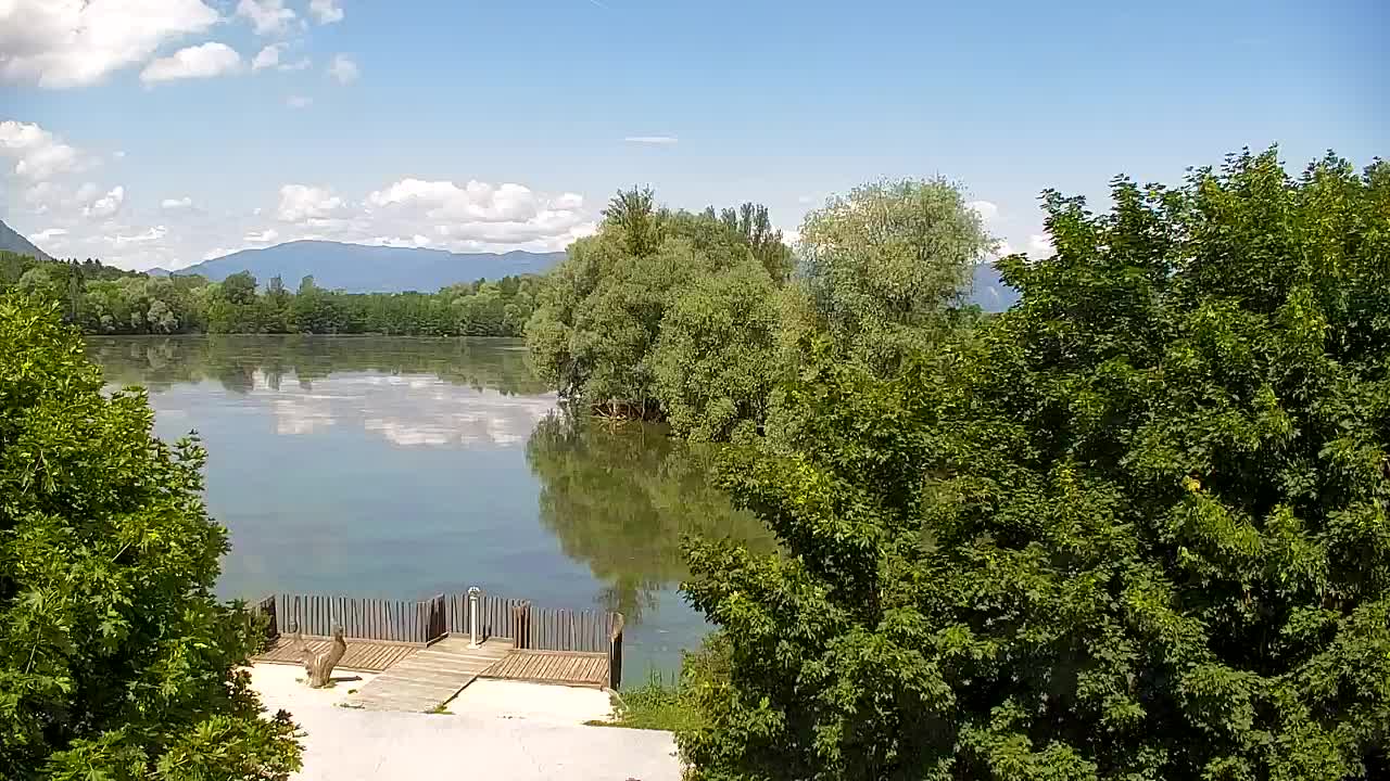 Webcam Ribnik Vrbje – Žalec