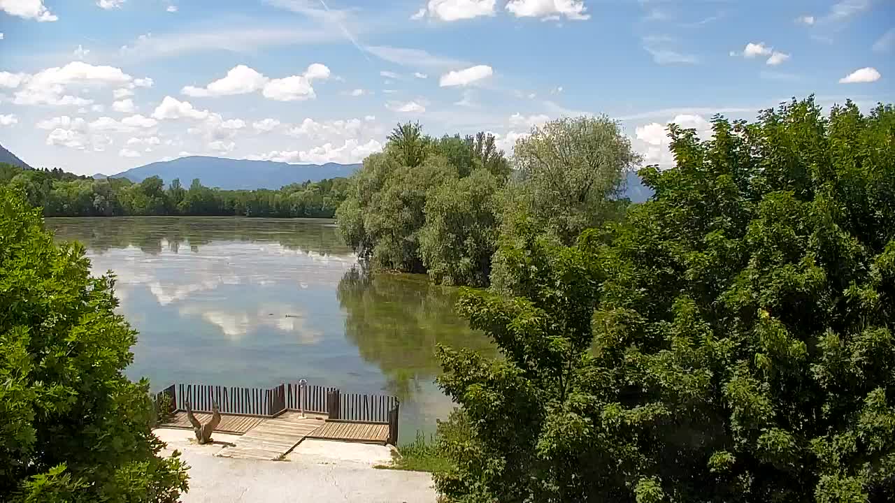 Webcam Ribnik Vrbje – Žalec