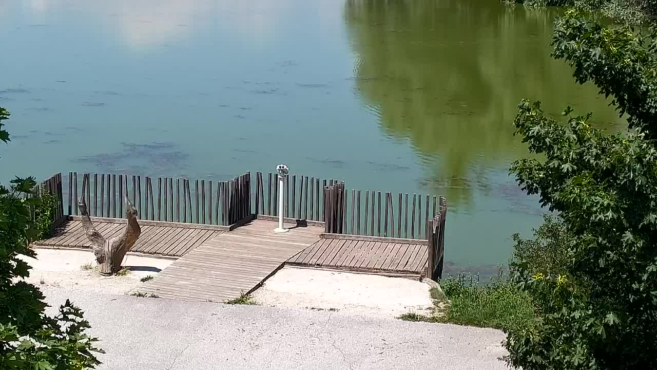 Webcam Ribnik Vrbje – Žalec