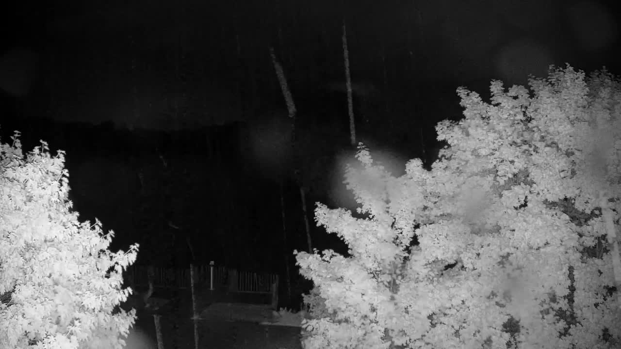 Webcam Ribnik Vrbje – Žalec