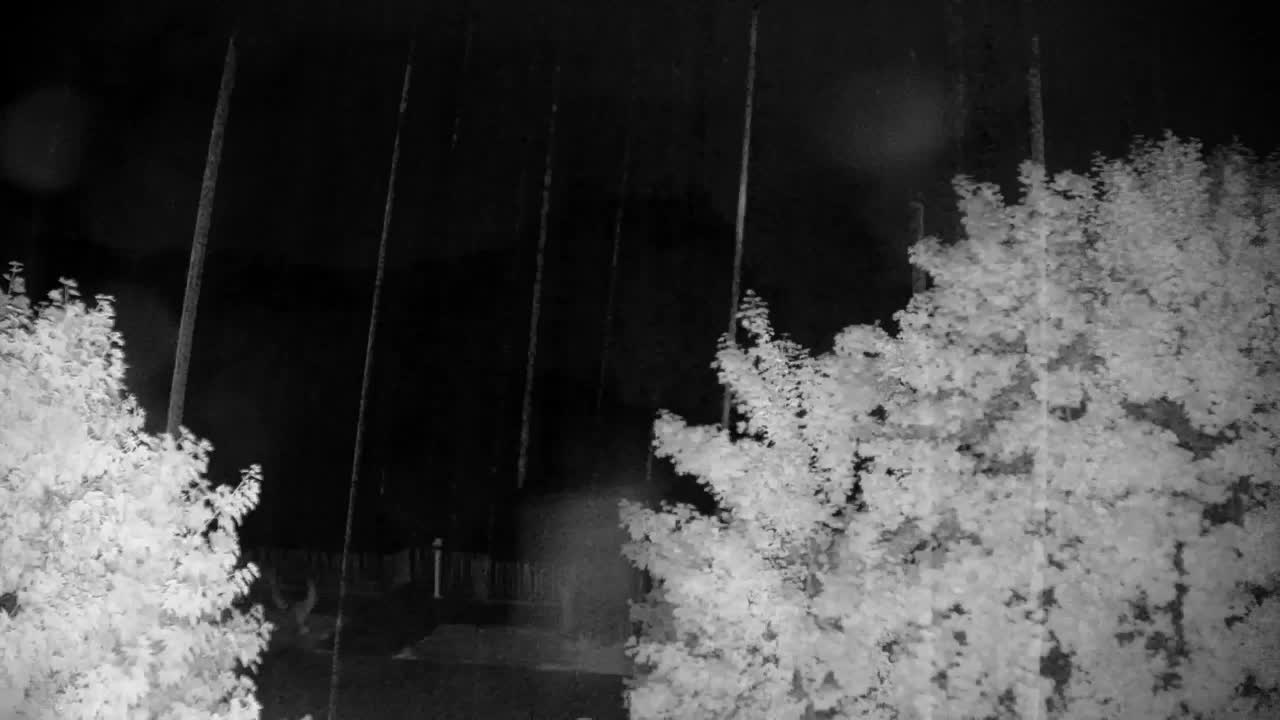 Webcam Ribnik Vrbje – Žalec