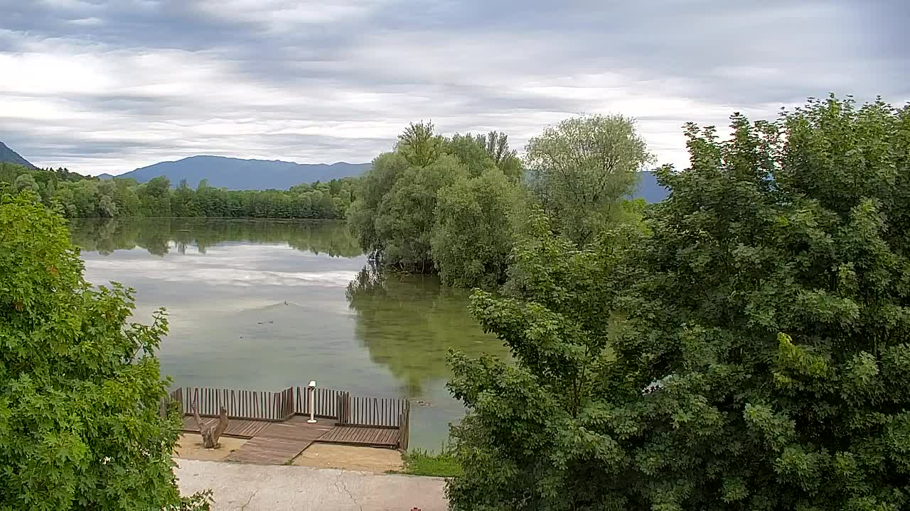 Webcam Ribnik Vrbje – Žalec