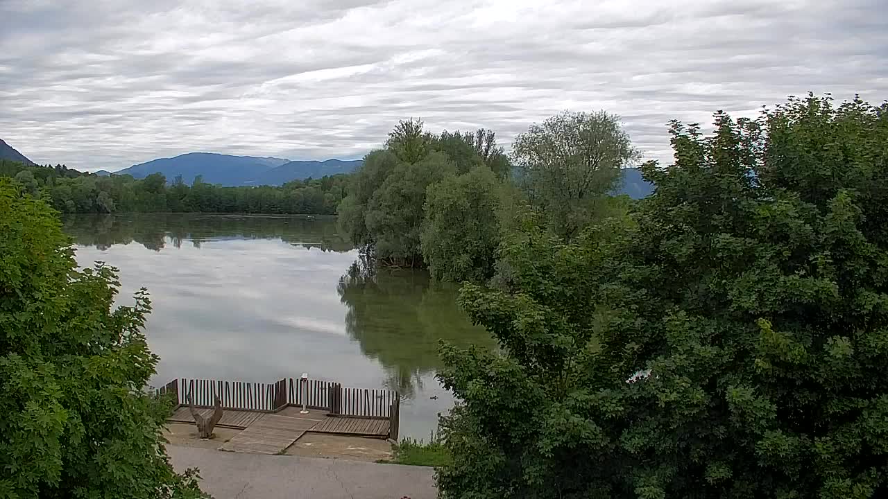 Webcam Ribnik Vrbje – Žalec