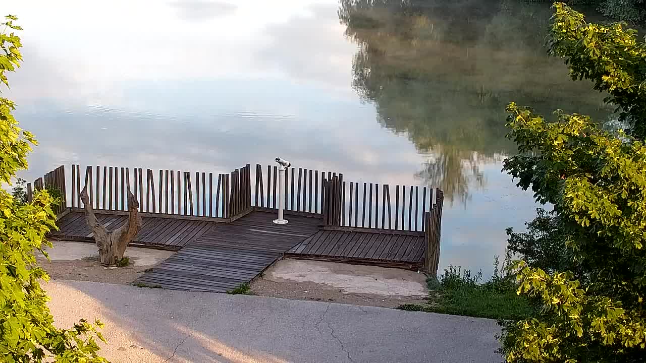 Spletna kamera Ribnik Vrbje – Žalec