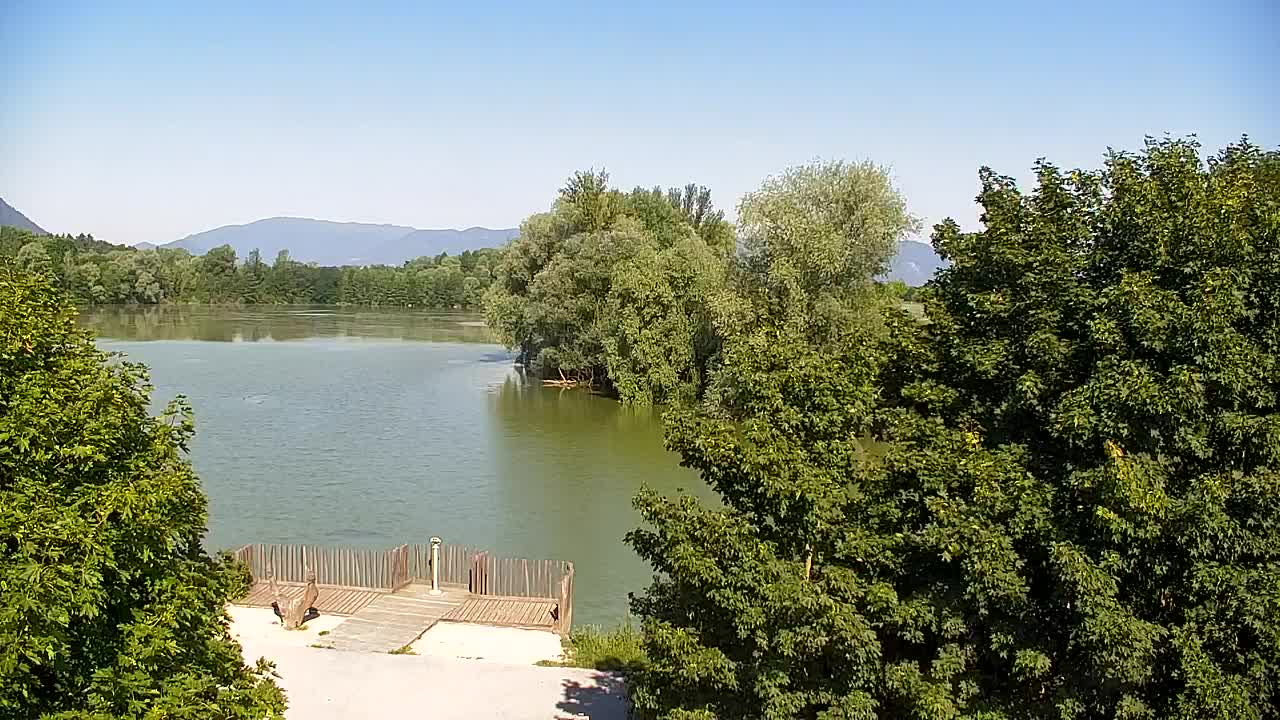 Webcam Ribnik Vrbje – Žalec