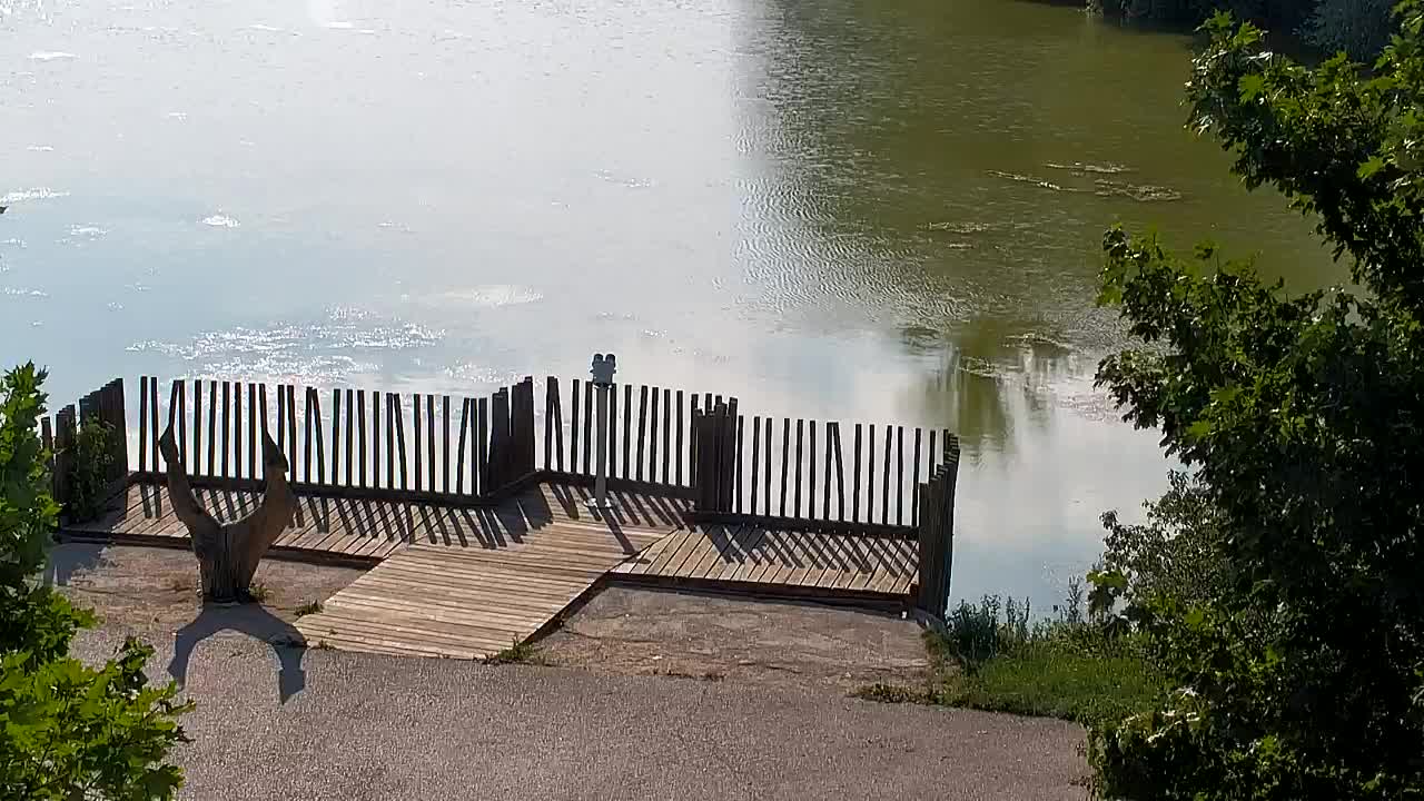 Webcam Ribnik Vrbje – Žalec