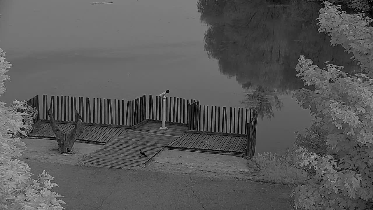 Webcam Ribnik Vrbje – Žalec