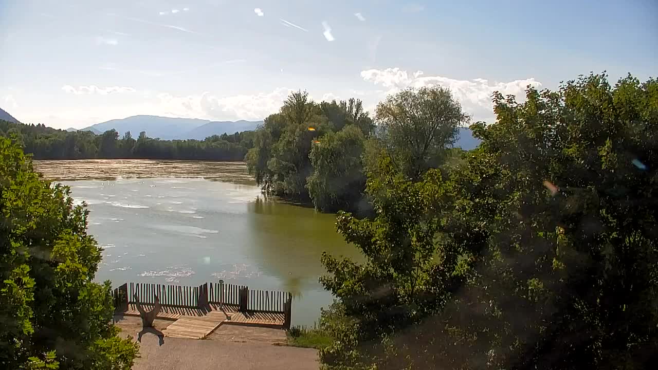 Spletna kamera Ribnik Vrbje – Žalec