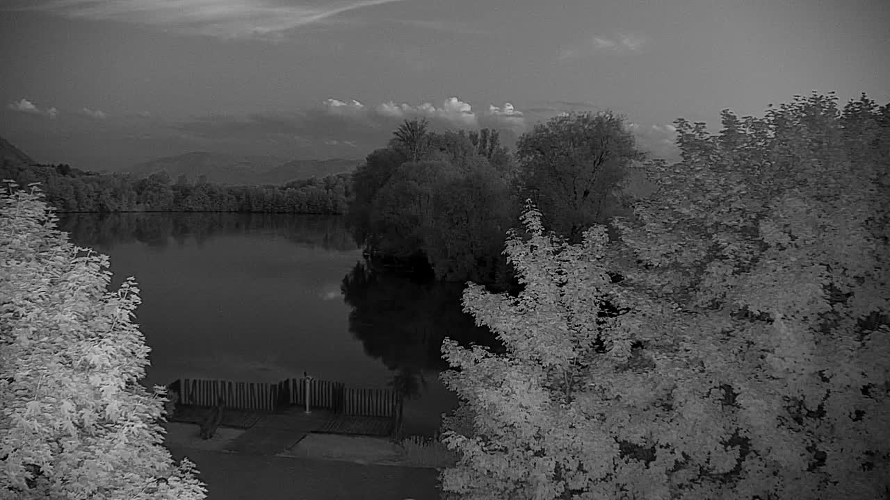 Webcam Ribnik Vrbje – Žalec